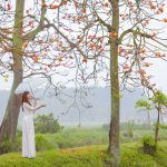 chup-anh-ao-dai-hoa-gao (6)
